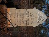 image of grave number 513119